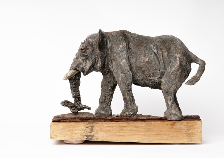 Tread Lightly profile view left. jpg 768x543